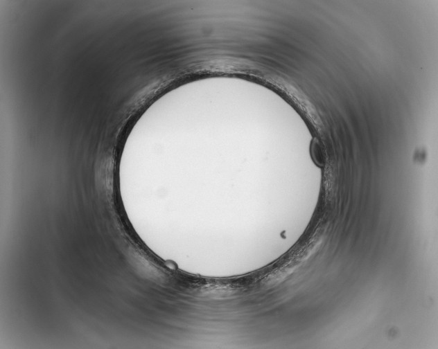 X0000103400445200810031228