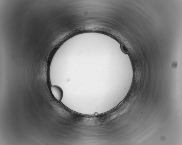 X0000103400446200810031228