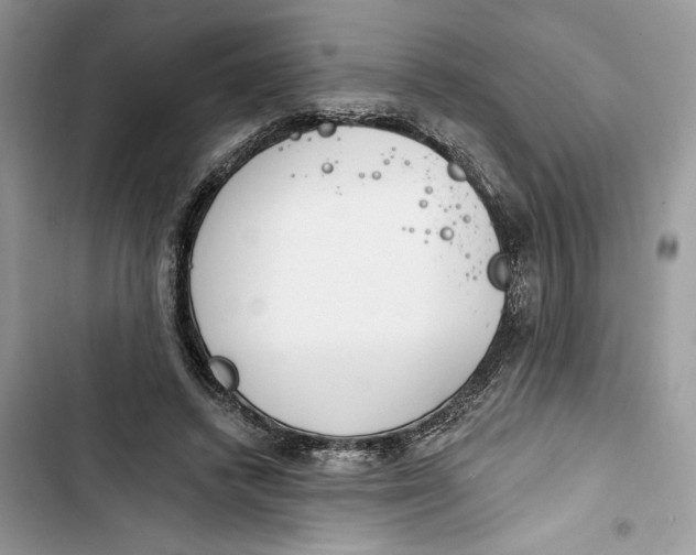 X0000103400448200810031228