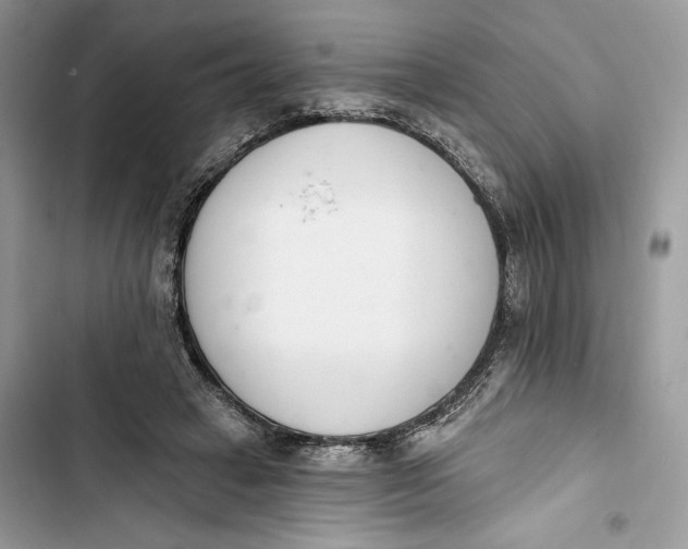 X0000103400449200810031228