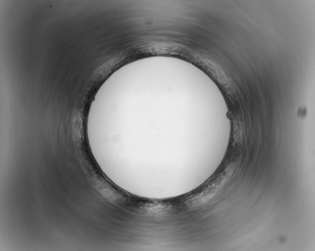 X0000103400453200810031228