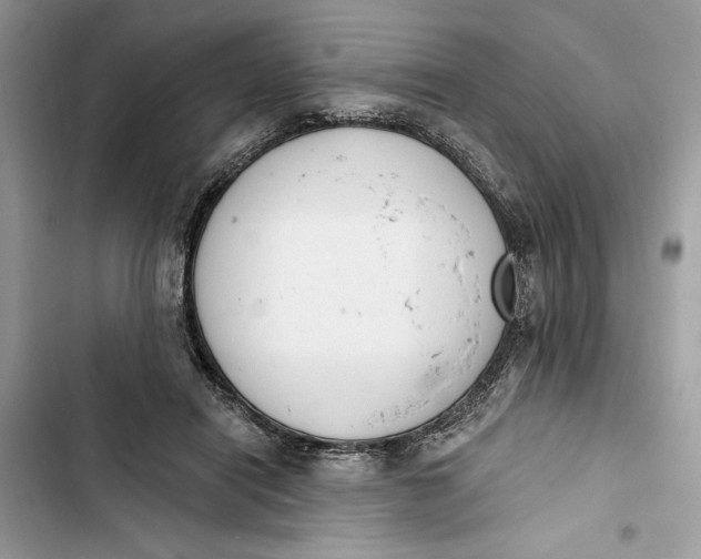 X0000103400454200810031228