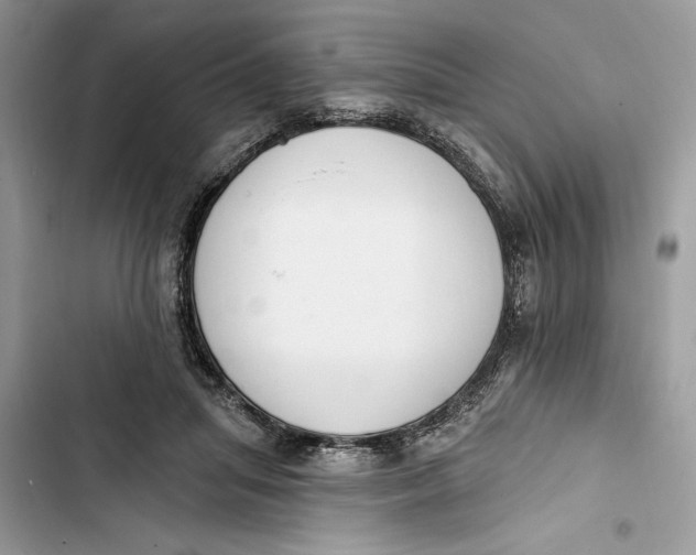 X0000103400455200810031228