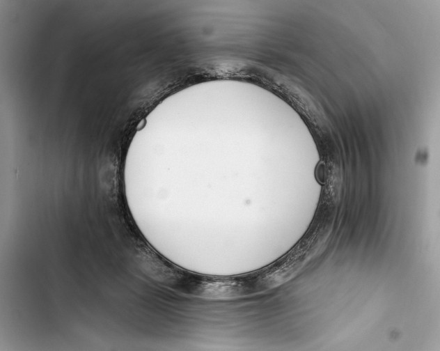 X0000103400461200810031228