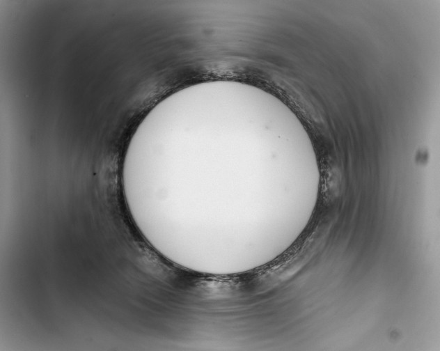 X0000103400466200810031228