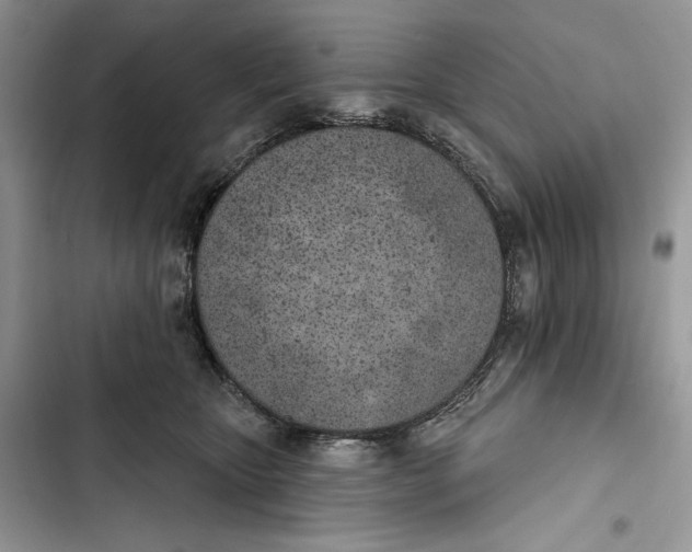 X0000103400467200810031228