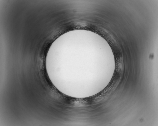 X0000103400468200810031228