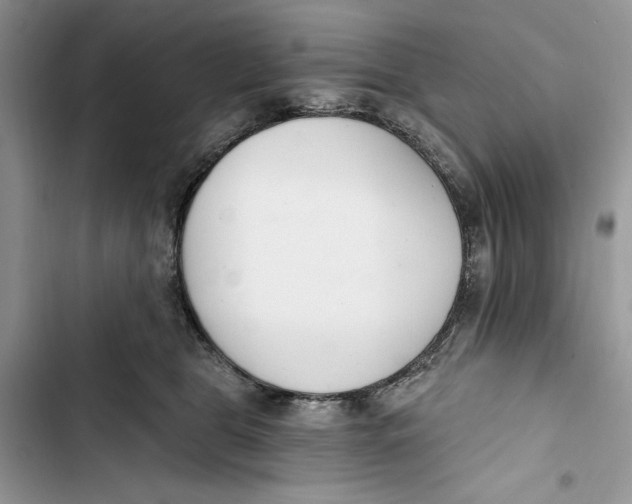 X0000103400469200810031228