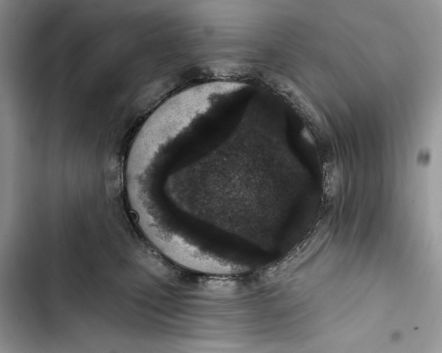 X0000103400471200810031228