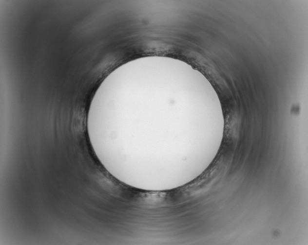 X0000103400474200810031228