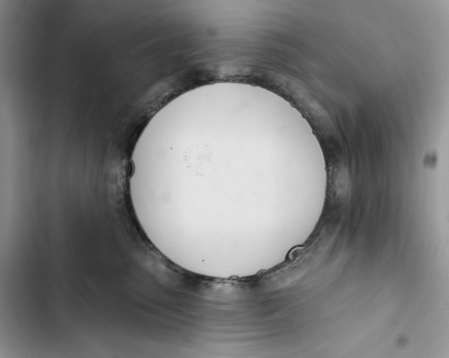 X0000103400475200810031228