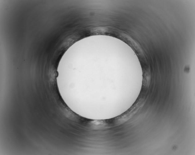 X0000103400477200810031228