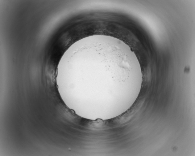 X0000103400479200810031228