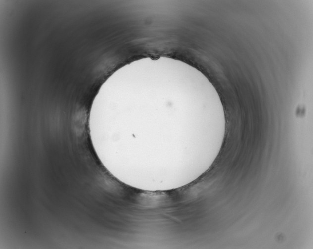 X0000103400480200810031228