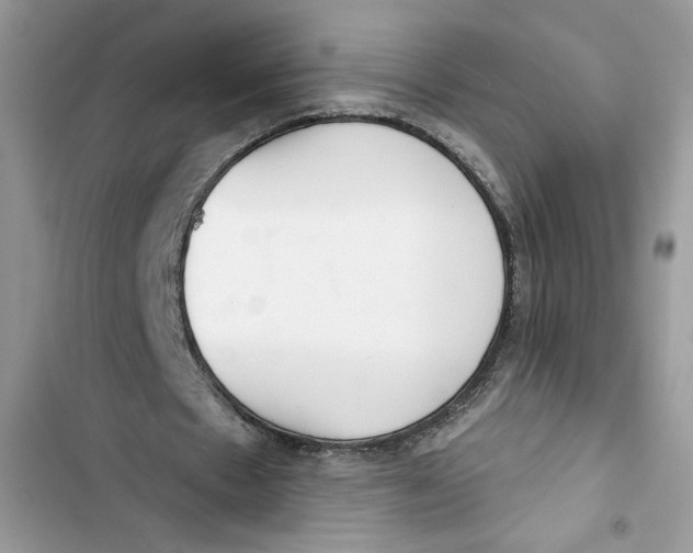 X0000103400481200810031228