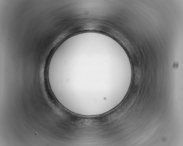 X0000103400482200810031228