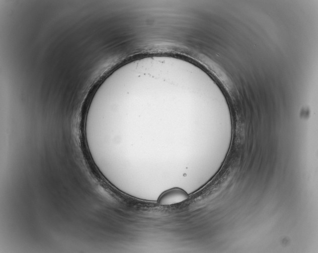 X0000103400485200810031228