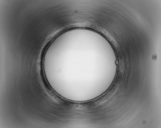 X0000103400486200810031228