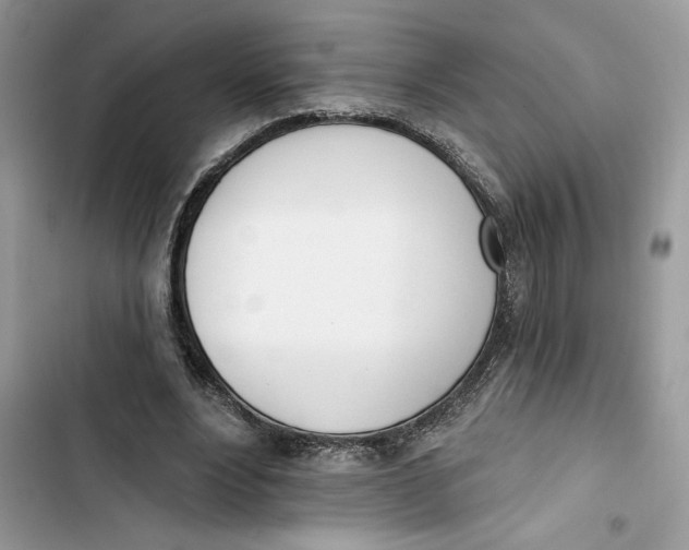 X0000103400488200810031227