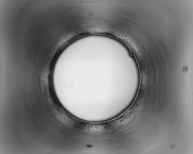 X0000103400491200810031227