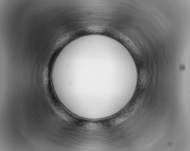 X0000103400494200810031227