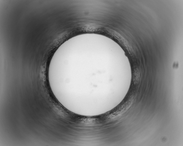 X0000103400497200810031227