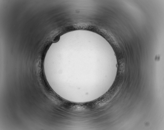 X0000103400498200810031227