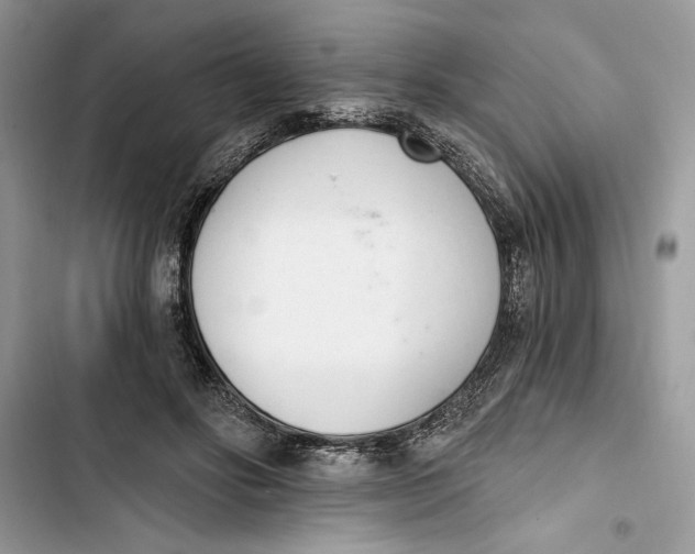 X0000103400502200810031227