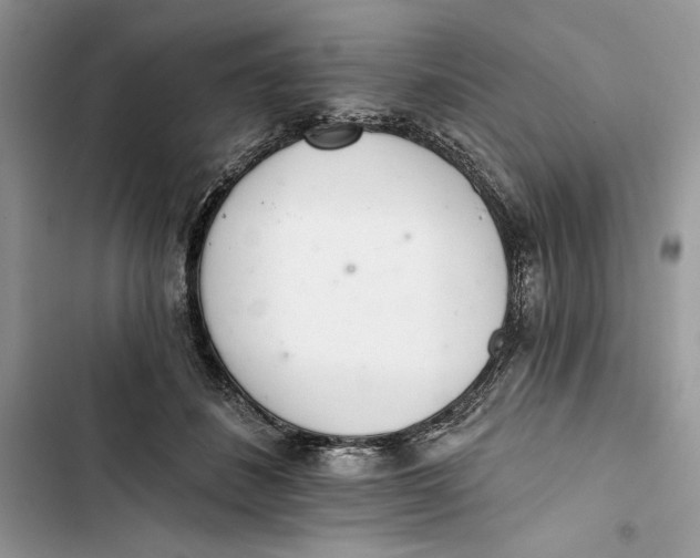 X0000103400508200810031227