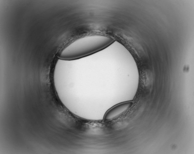 X0000103400512200810031227