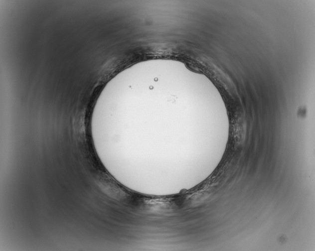 X0000103400516200810031227