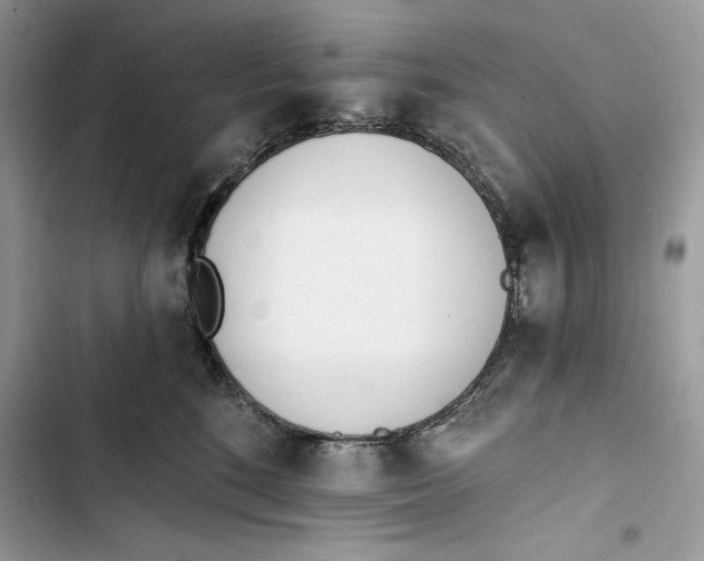 X0000103400520200810031227