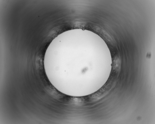 X0000103400522200810031227