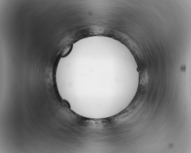 X0000103400524200810031227