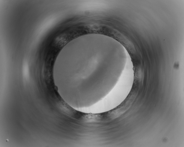 X0000103400526200810031227