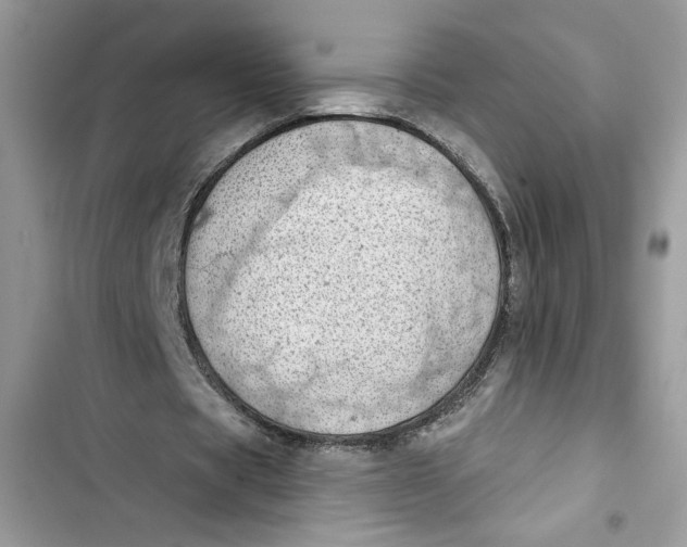 X0000103400529200810031226