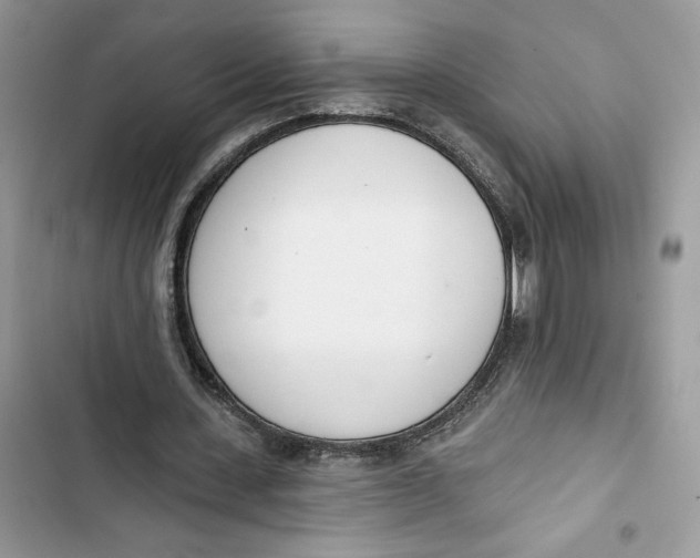 X0000103400531200810031226