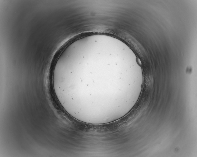 X0000103400532200810031226