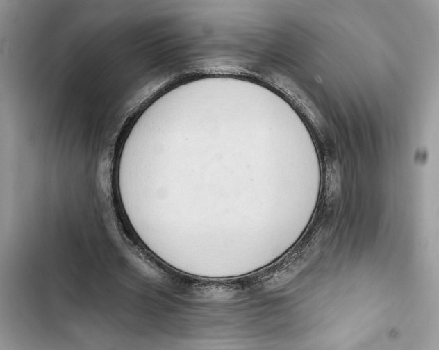 X0000103400533200810031226