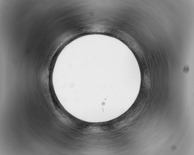 X0000103400534200810031226