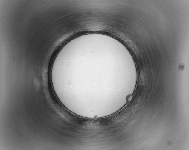 X0000103400535200810031226