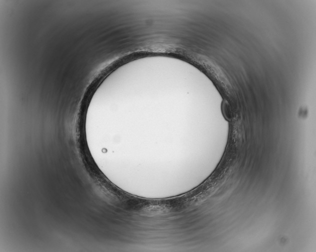 X0000103400536200810031226