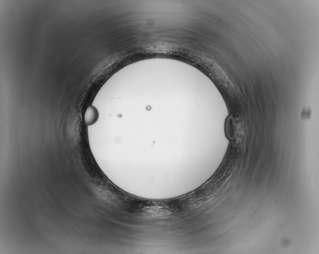 X0000103400544200810031226