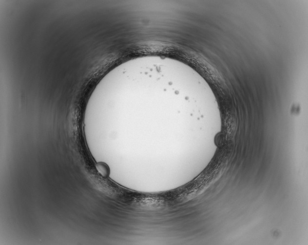 X0000103400546200810031227