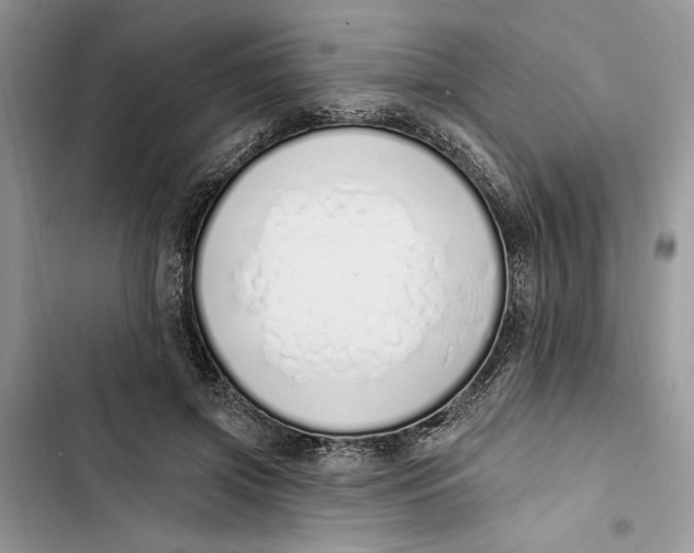 X0000103400549200810031227