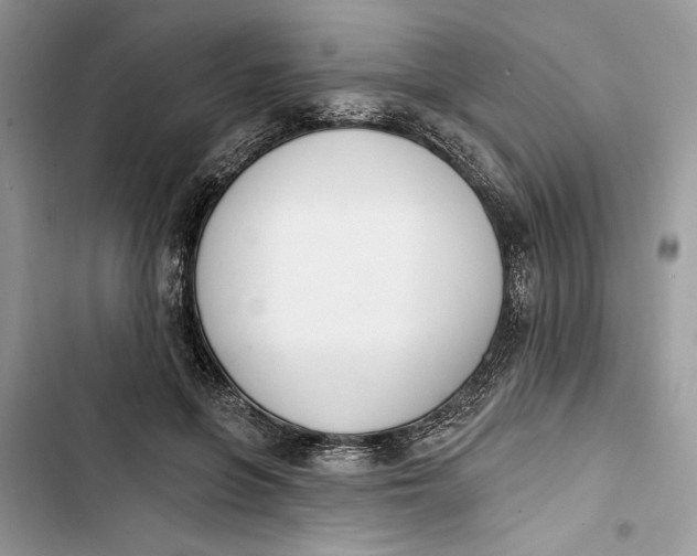 X0000103400551200810031227