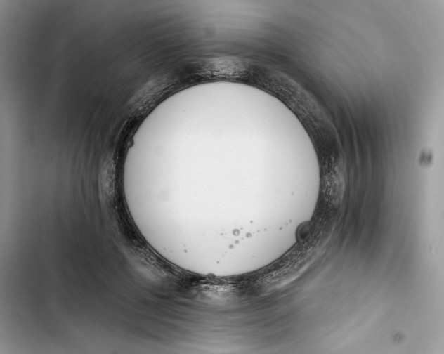 X0000103400552200810031227