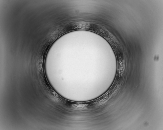 X0000103400553200810031227