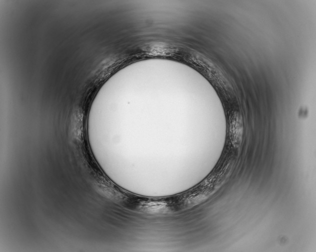 X0000103400554200810031227