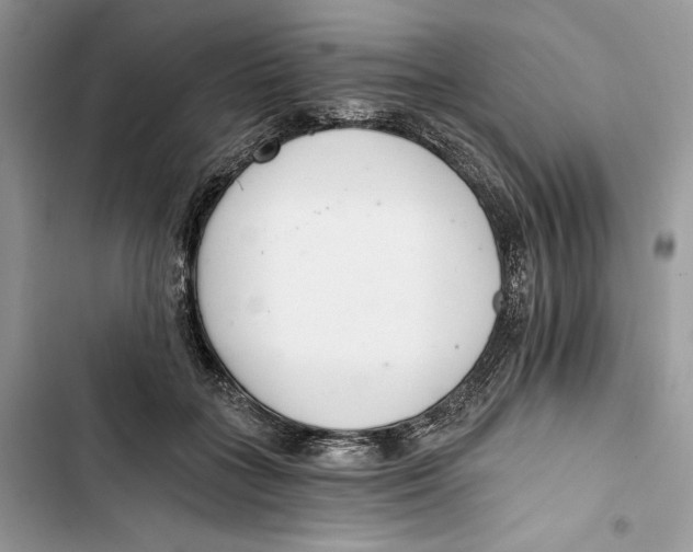 X0000103400555200810031227